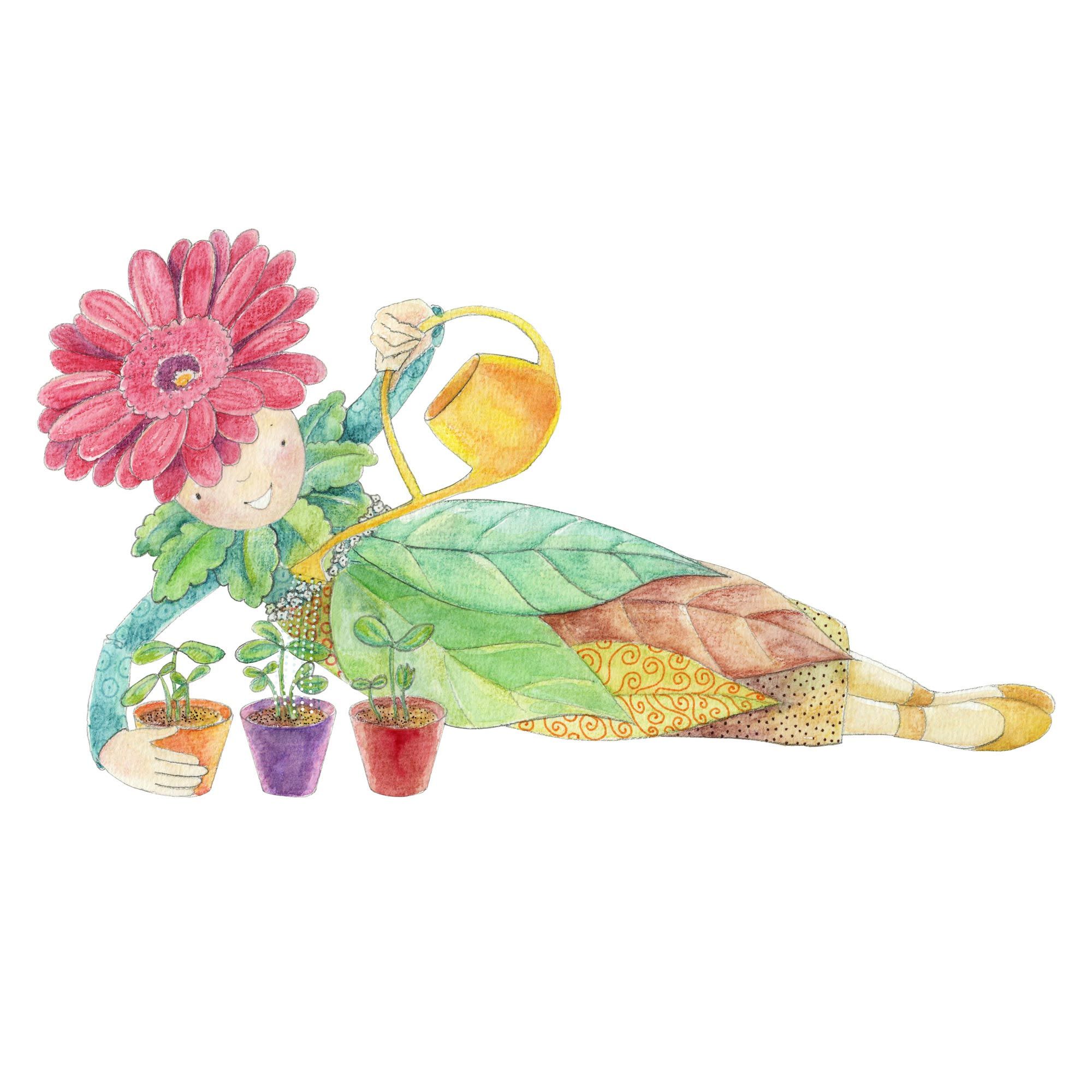 illustration gerbera gaertnerei schoepf