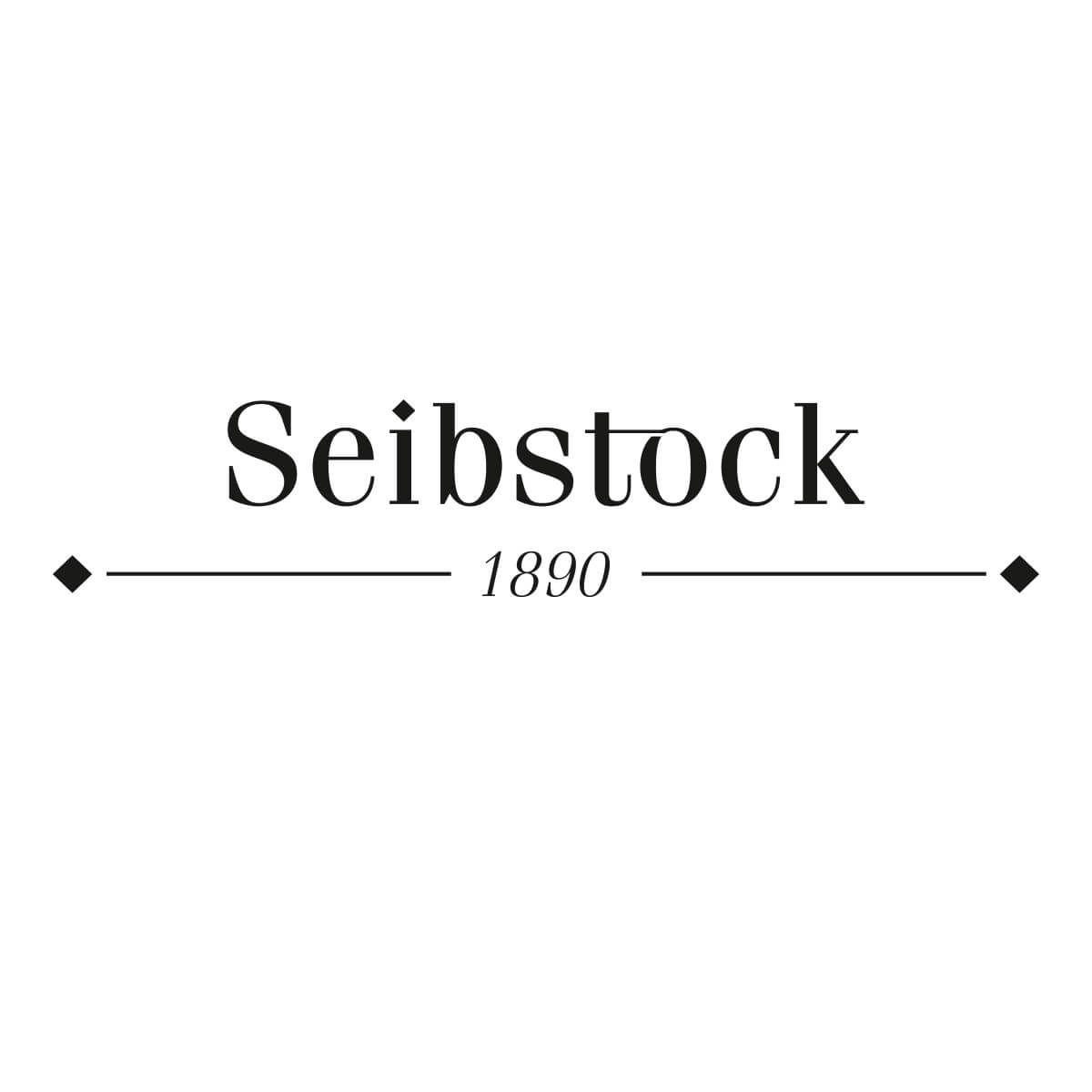 logo seibstock zepra it vorschau
