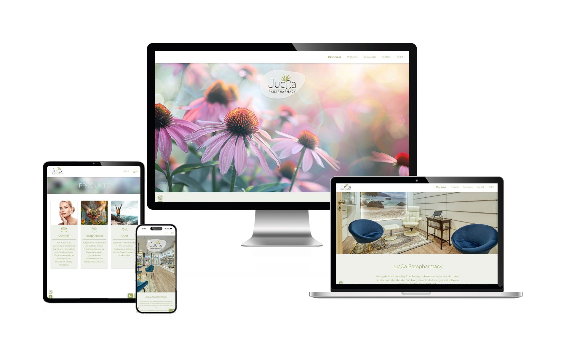web jucca